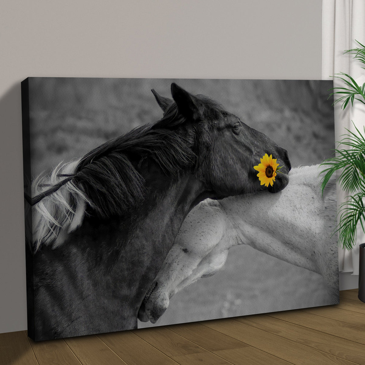Sweet Black And White Horses Canvas Wall Art