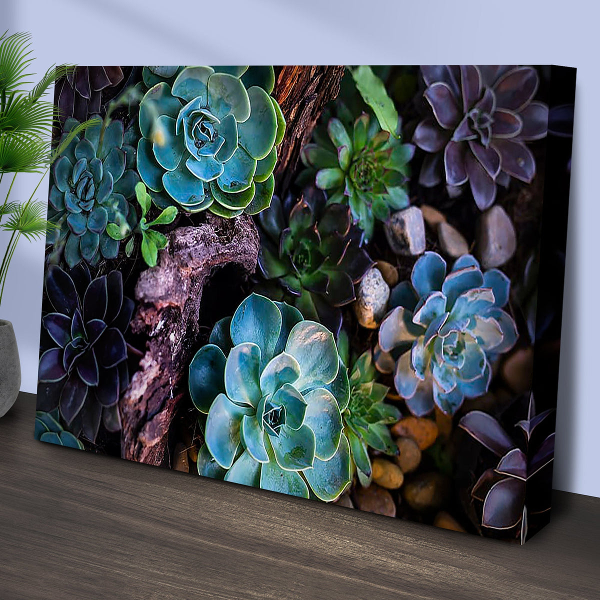 Green And Purple Succulents Canvas Wall Art ()