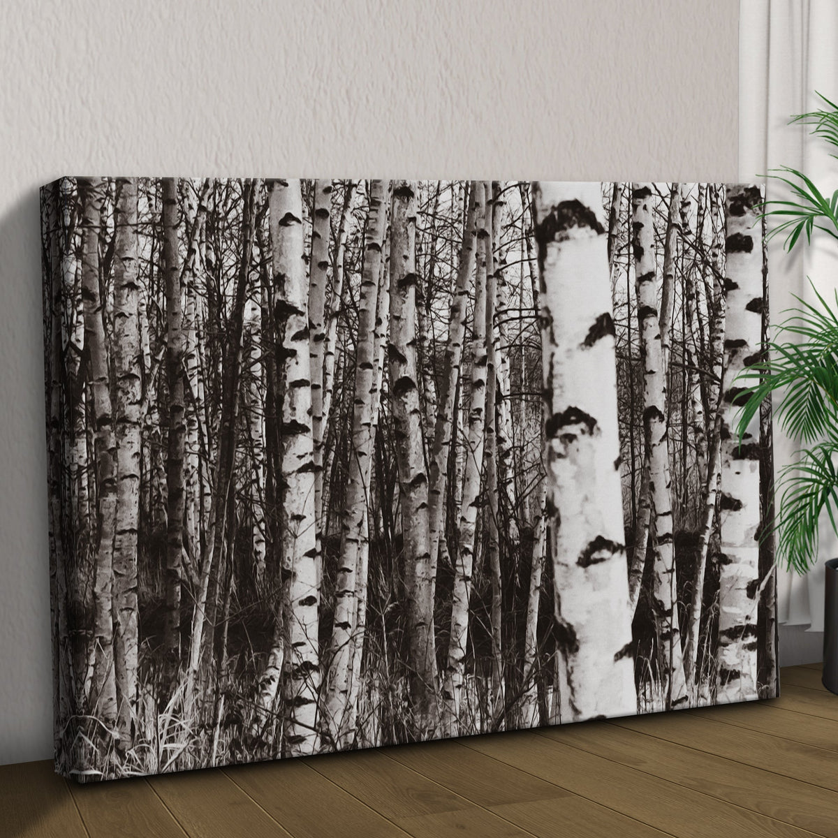 Grayscale Birch Tree Trunks Canvas Wall Art