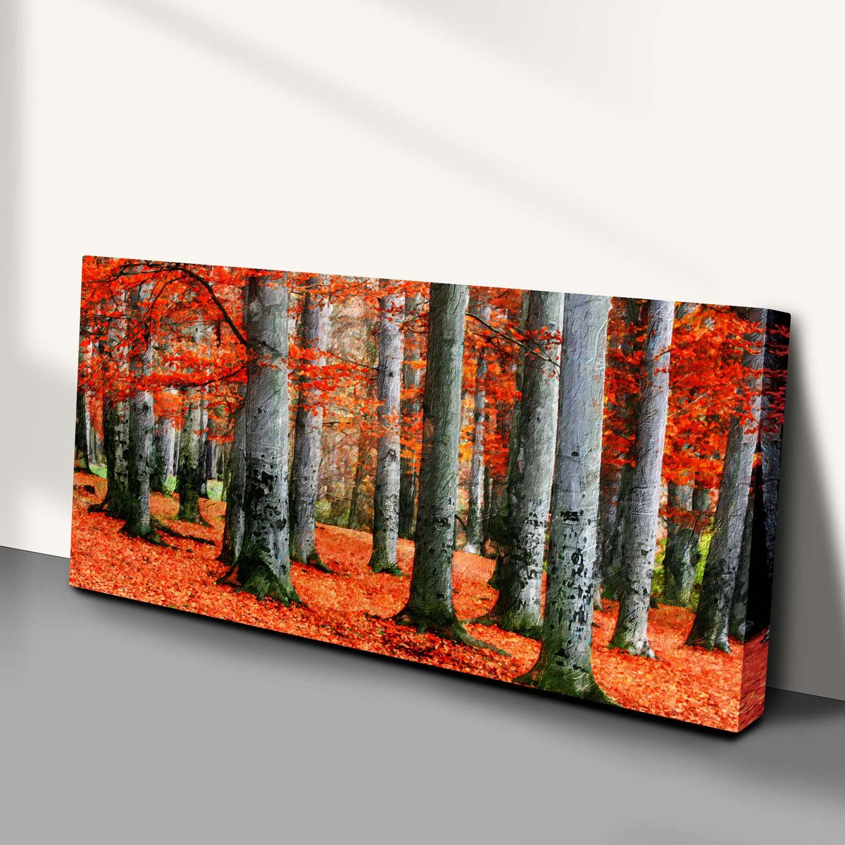 Red Beech Trees Canvas Wall Art