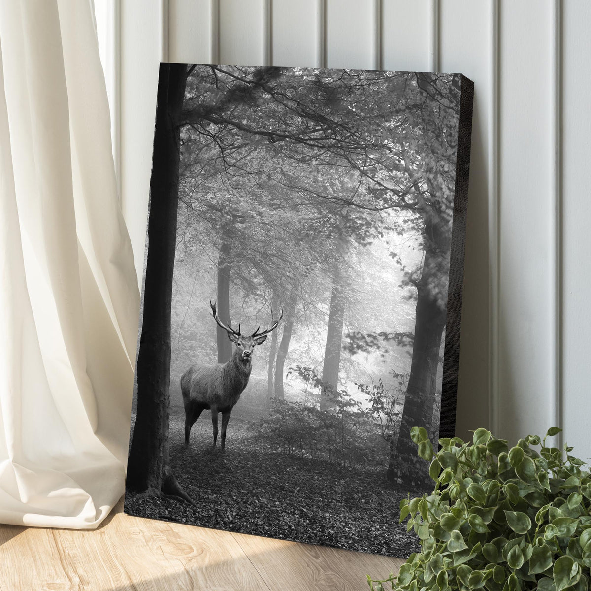 Deer In Foggy Forest Canvas Wall Art