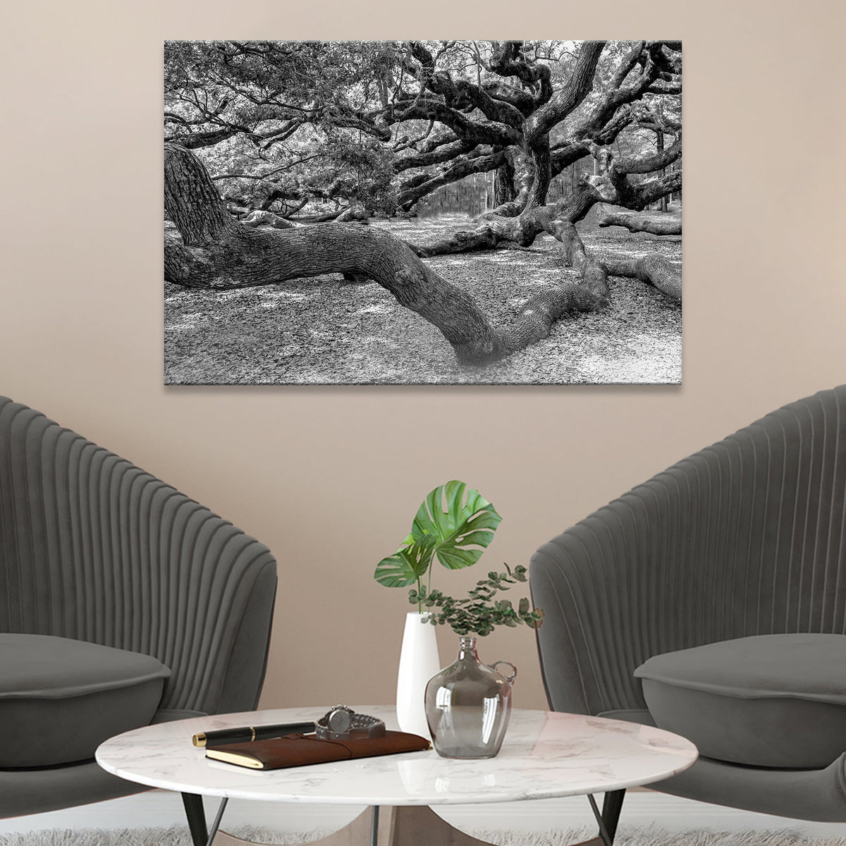 Monochrome Angel Oak Tree Canvas Wall Art II