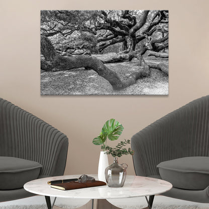 Monochrome Angel Oak Tree Canvas Wall Art II
