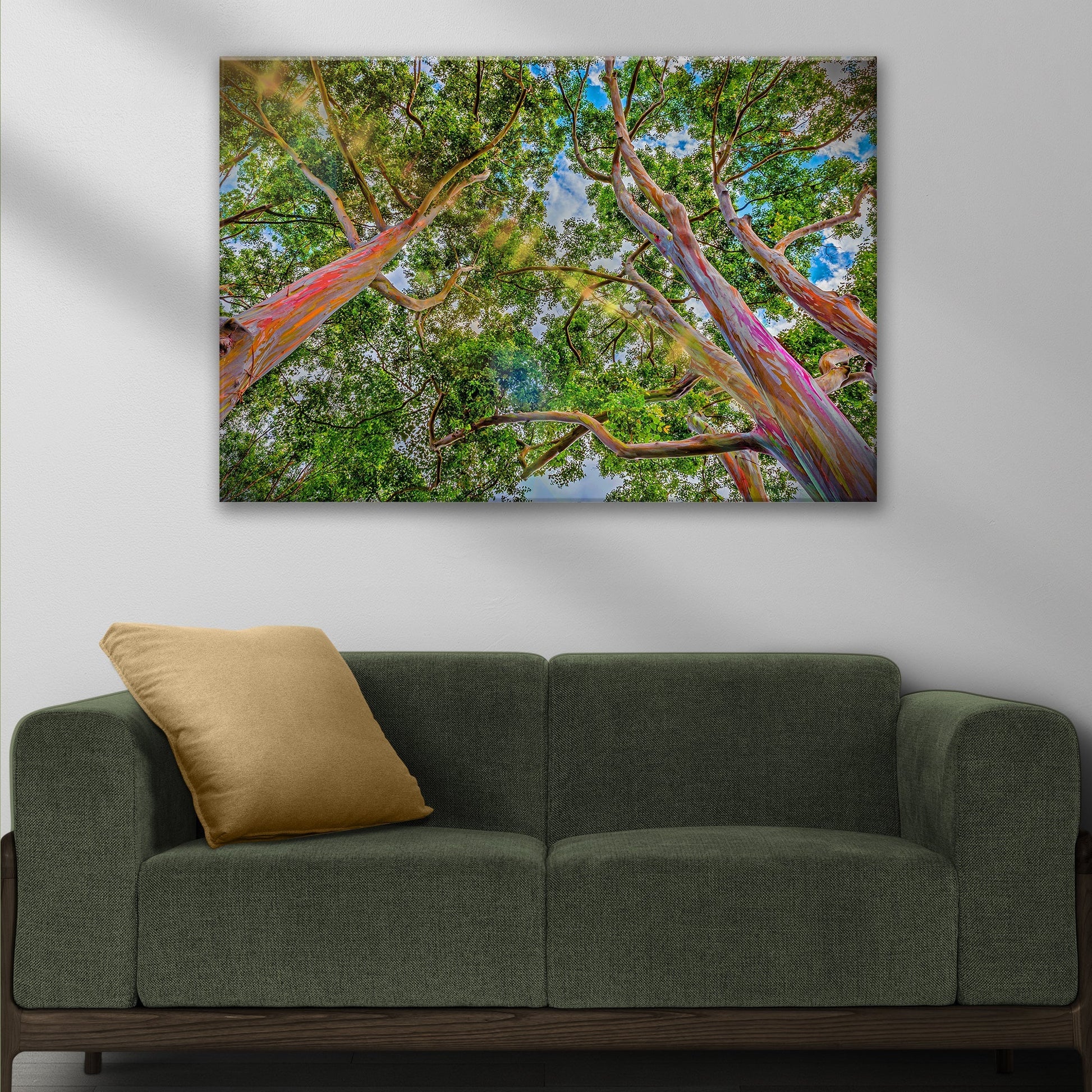 Rainbow Eucalyptus Tree Canvas Wall Art