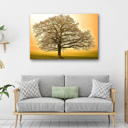 Golden Oak Tree Canvas Wall Art