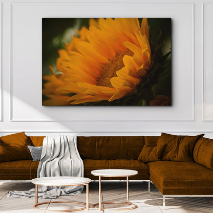 Last Of The Sunflowers Canvas Wall Art