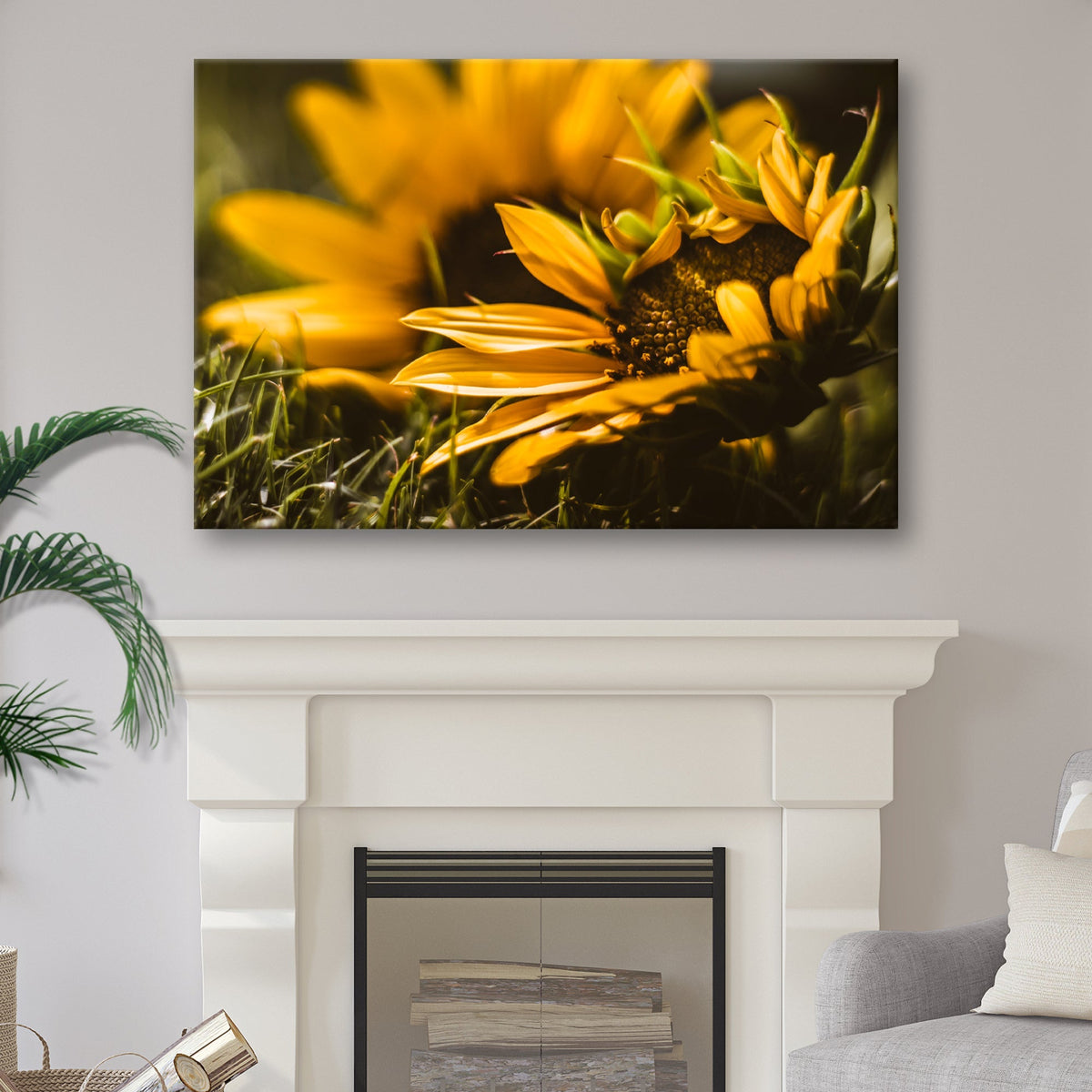 Macro Sunflower Canvas Wall Art