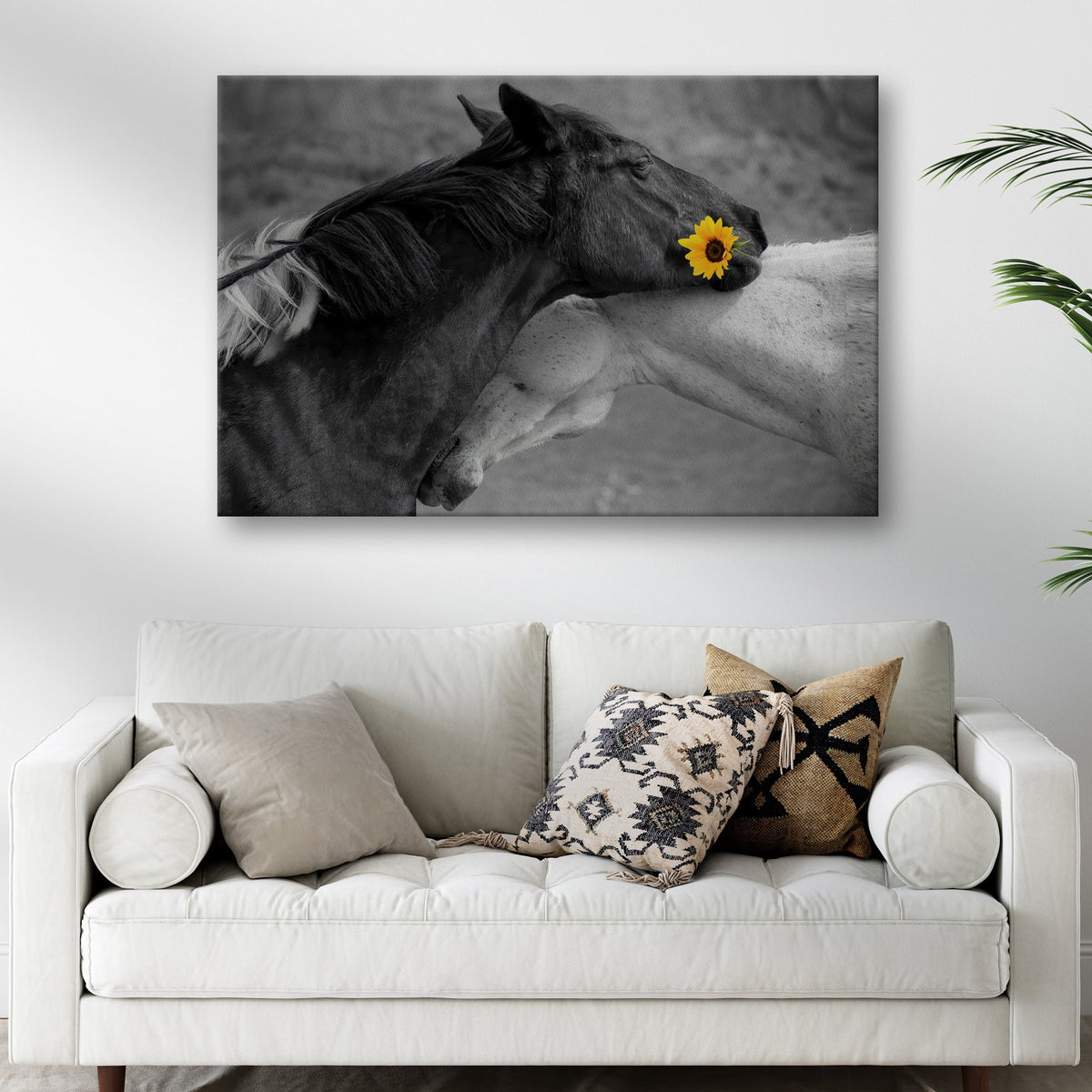 Sweet Black And White Horses Canvas Wall Art