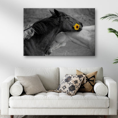 Sweet Black And White Horses Canvas Wall Art