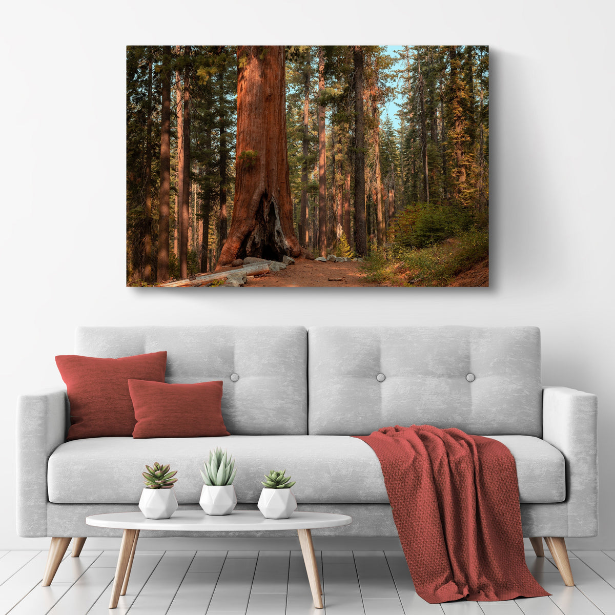 Sequoia Trees Canvas Wall Art