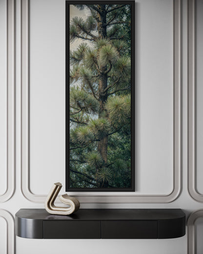 Tall Narrow Fir Tree Vertical Framed Canvas Wall Art