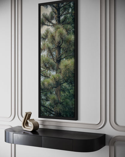 Tall Narrow Fir Tree Vertical Framed Canvas Wall Art