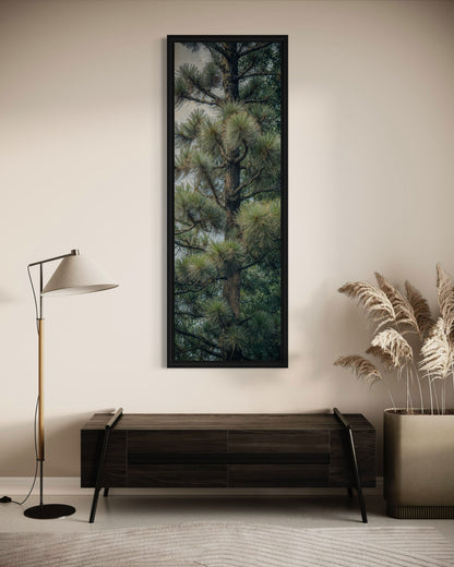 Tall Narrow Fir Tree Vertical Framed Canvas Wall Art