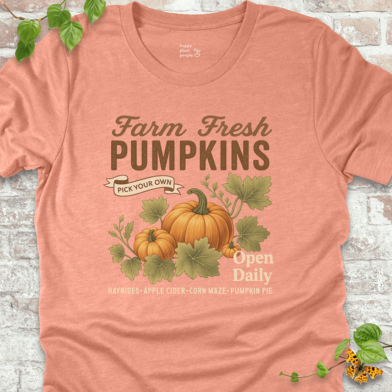 Vintage Pumpkins T-Shirt