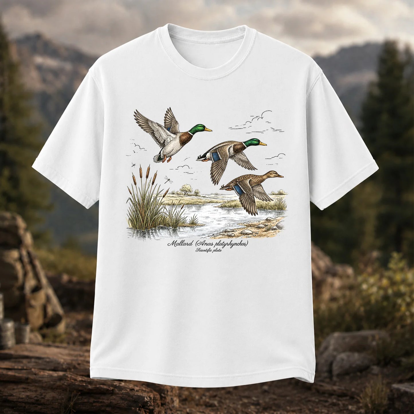 Mallard Anas Platyrhynchos T-Shirt, Vintage Duck Plate