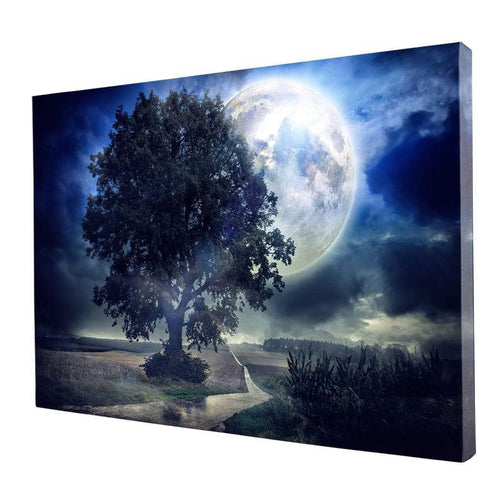 Giant Moon Summer Night Canvas Wall Art