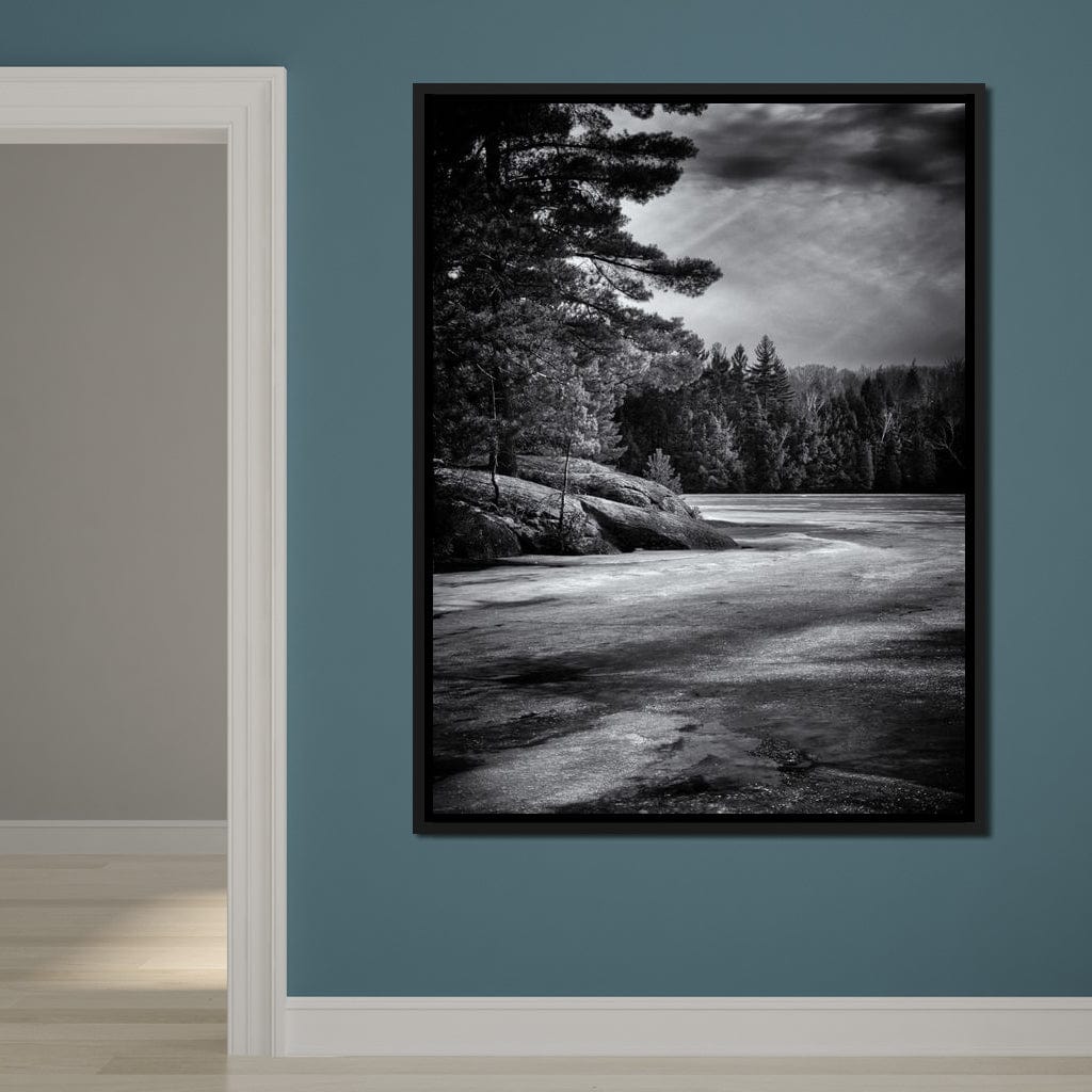 Gullwing Lake Canvas Wall Art