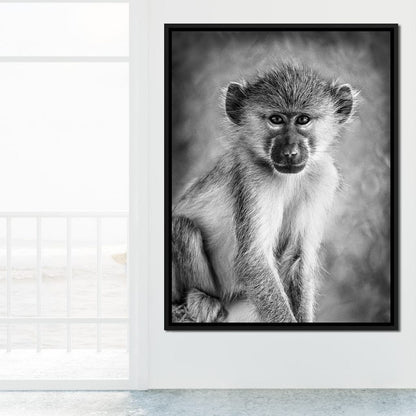 Monkey in Black & White Canvas Wall Art