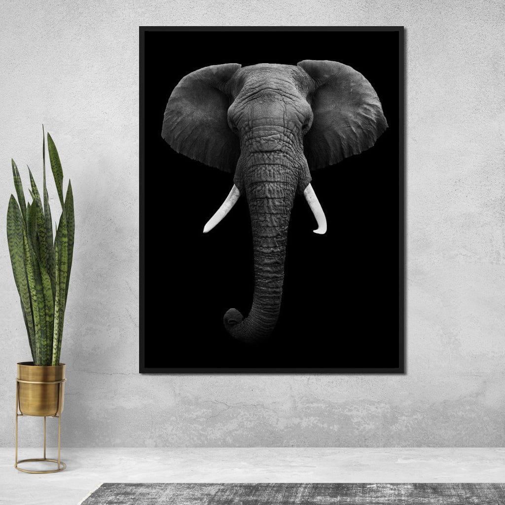 Black and White Elephant Face Canvas Wall Art