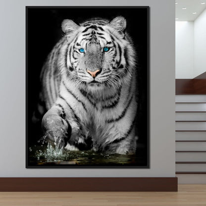 Blue Eyed Snow Tiger Canvas Wall Art