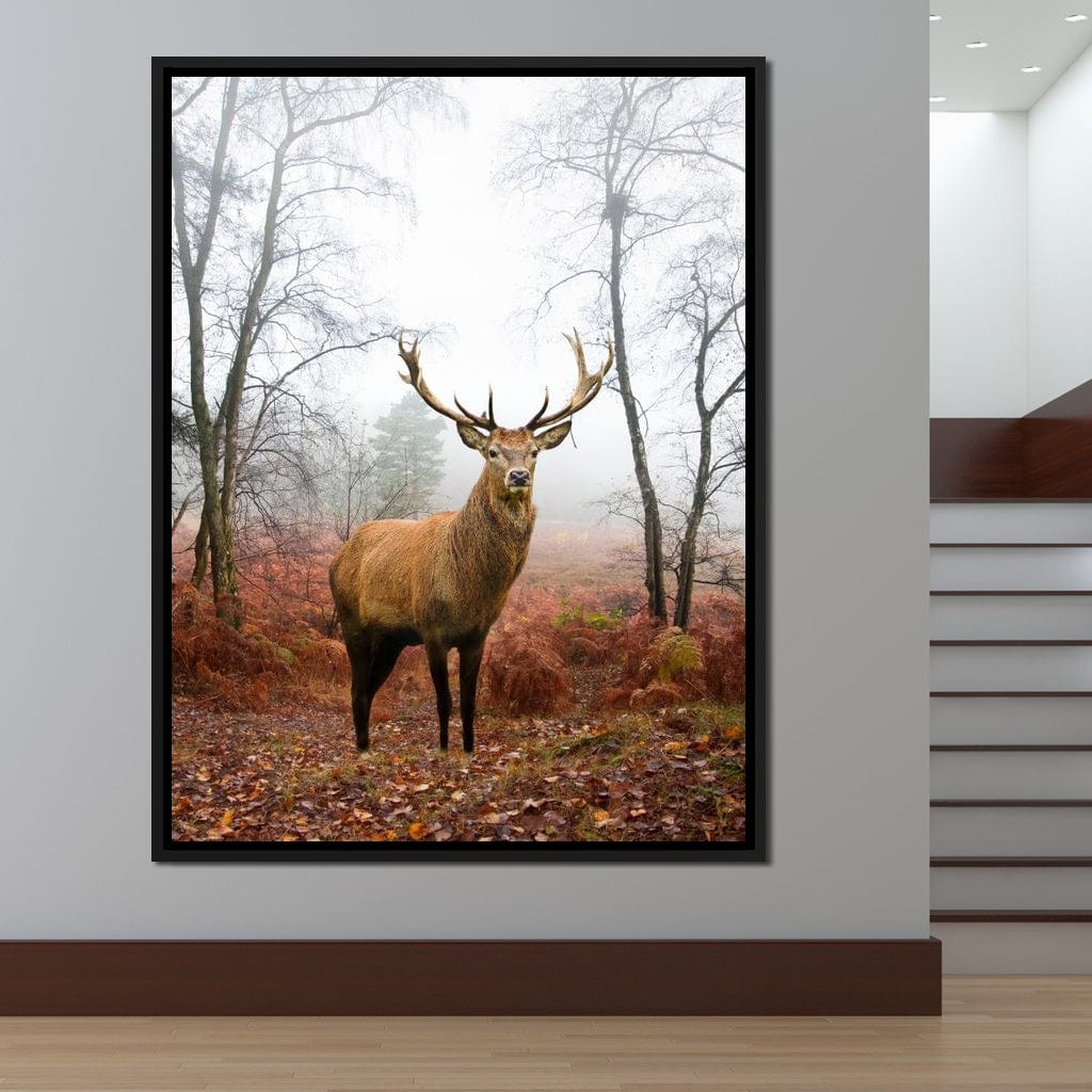 Red Deer Stag Canvas Wall Art