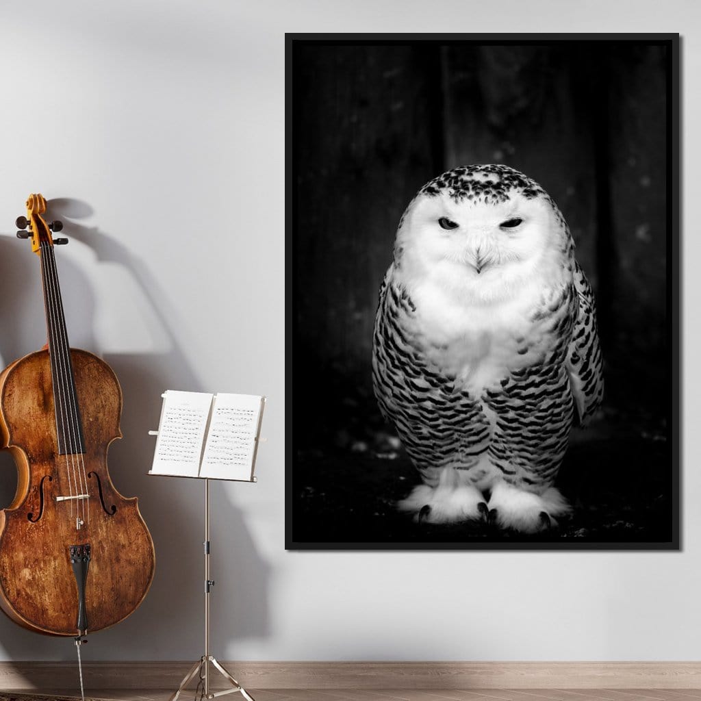 Black and White Snowy Owl Canvas Wall Art
