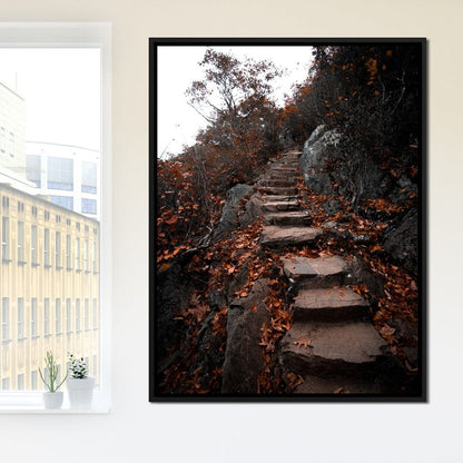 Autumn Path Canvas Wall Art