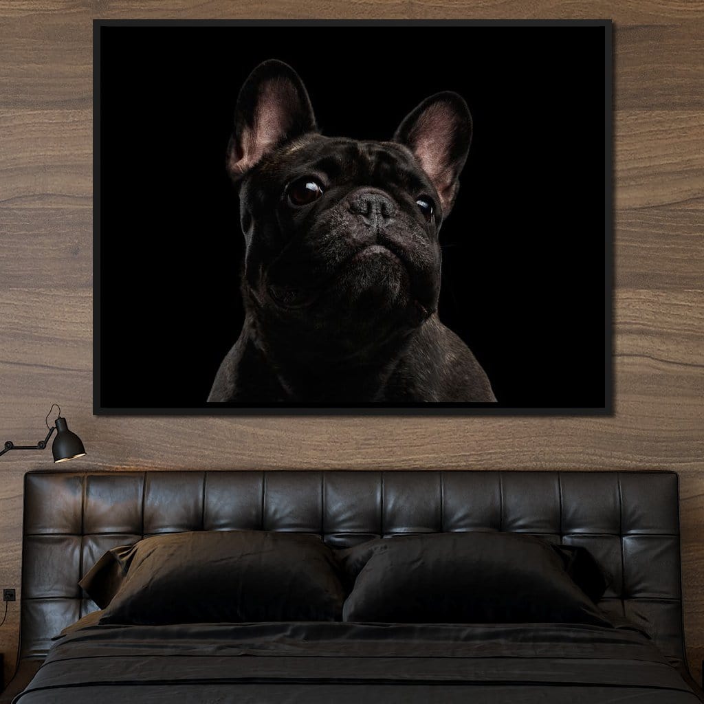 Black French Bulldog Canvas Wall Art
