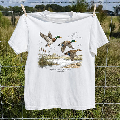 Mallard Anas Platyrhynchos T-Shirt, Vintage Duck Plate