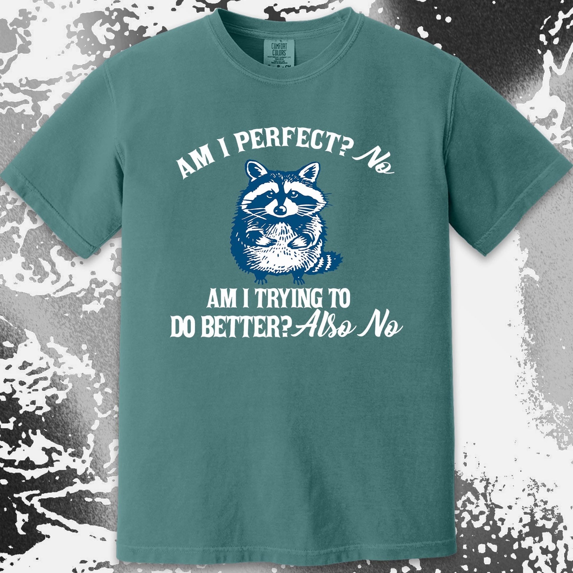 Am I Perfect? No Raccoon T-Shirt – Honest Self Awareness, funny meme tee gift (view 10)