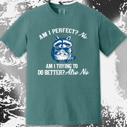 Am I Perfect? No Raccoon T-Shirt – Honest Self Awareness, funny meme tee gift (view 10)