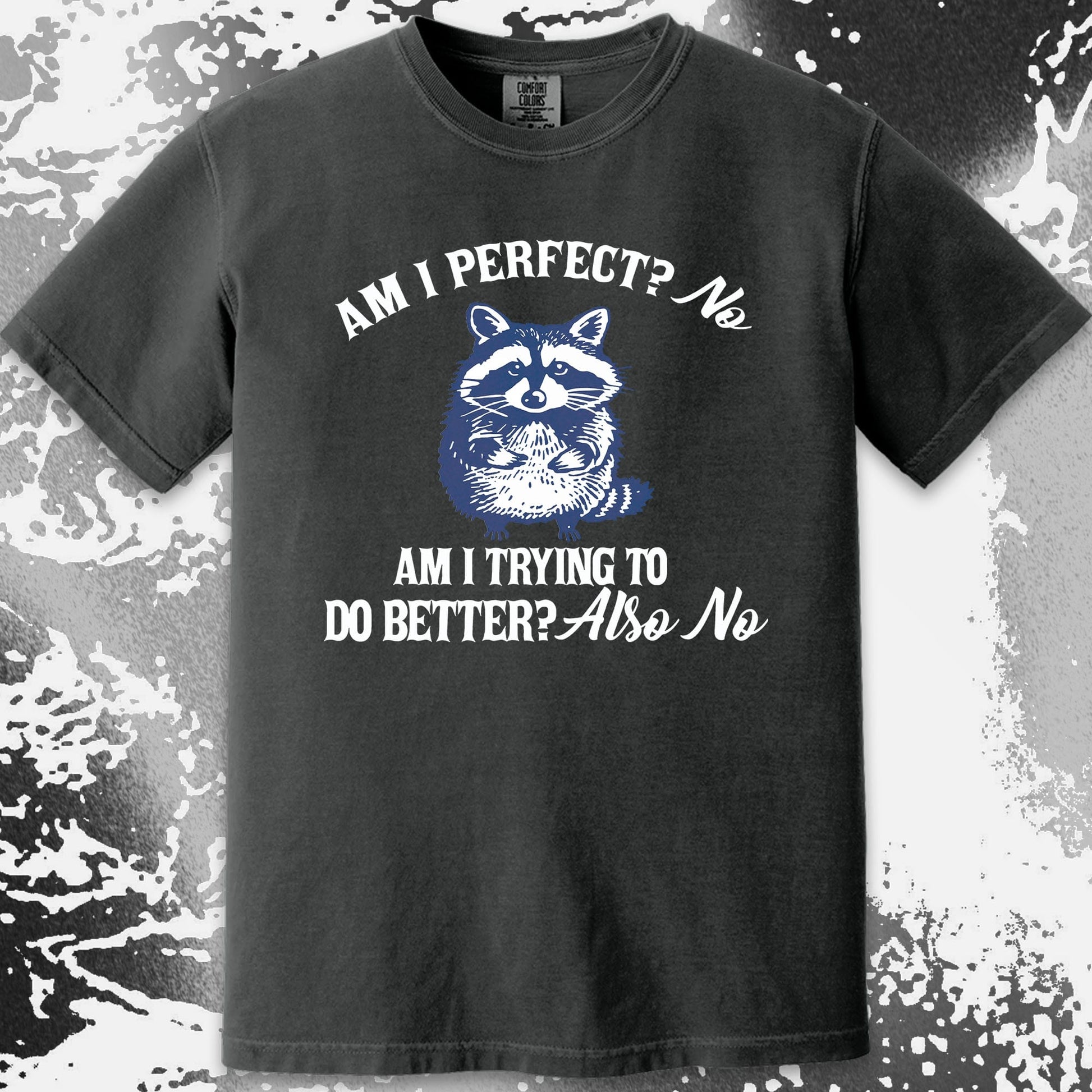 Am I Perfect? No Raccoon T-Shirt – Honest Self Awareness, funny meme tee gift (view 12)