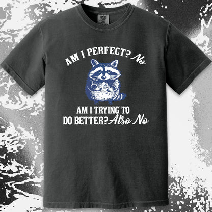 Am I Perfect? No Raccoon T-Shirt – Honest Self Awareness, funny meme tee gift (view 12)