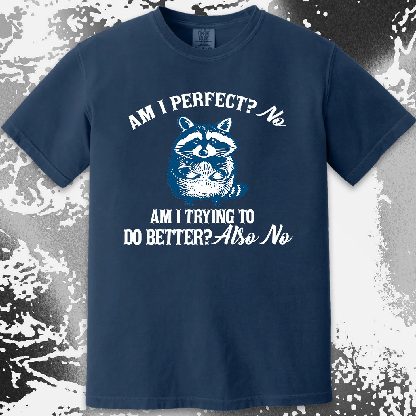 Am I Perfect? No Raccoon T-Shirt – Honest Self Awareness, funny meme tee gift (view 13)