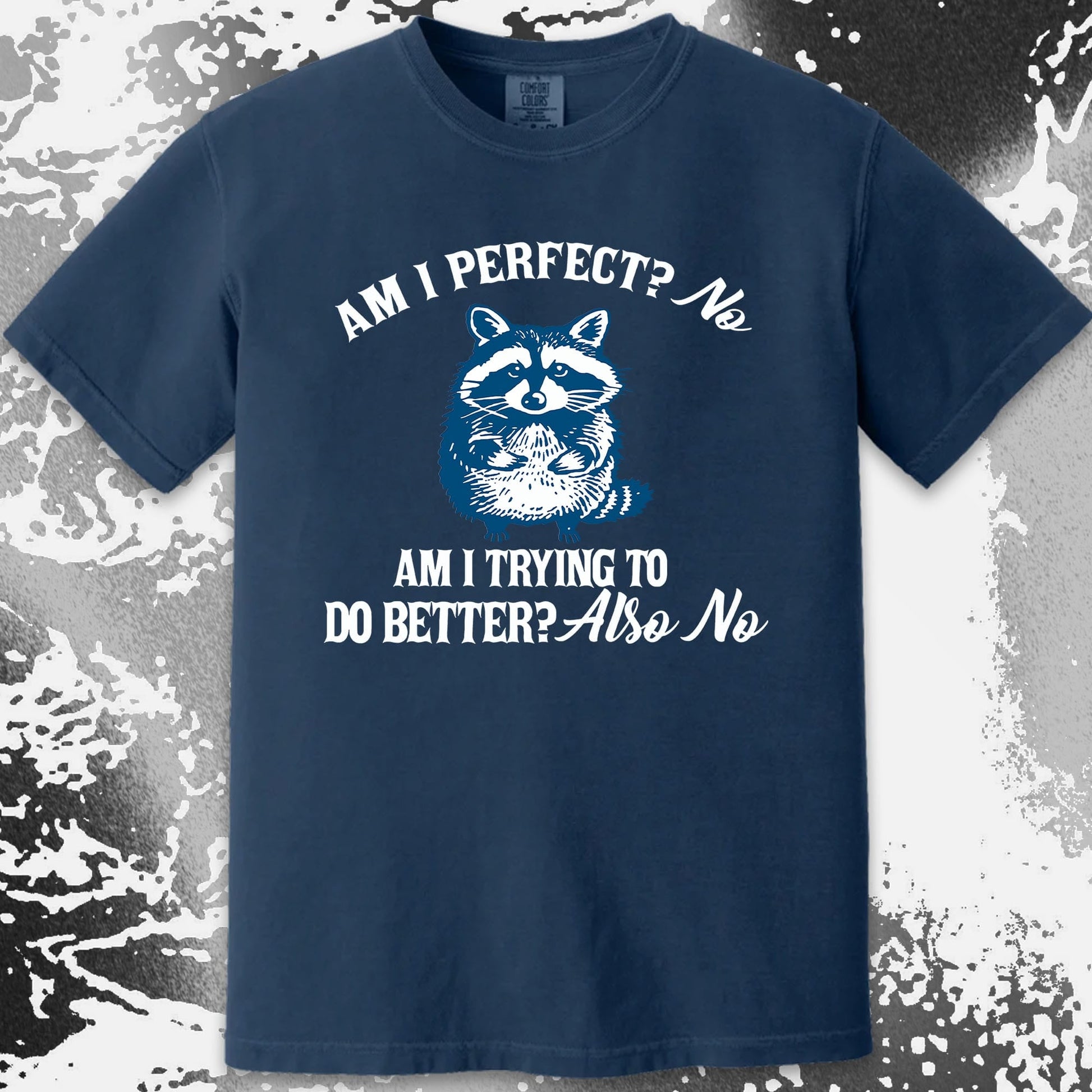 Am I Perfect? No Raccoon T-Shirt – Honest Self Awareness, funny meme tee gift (view 13)
