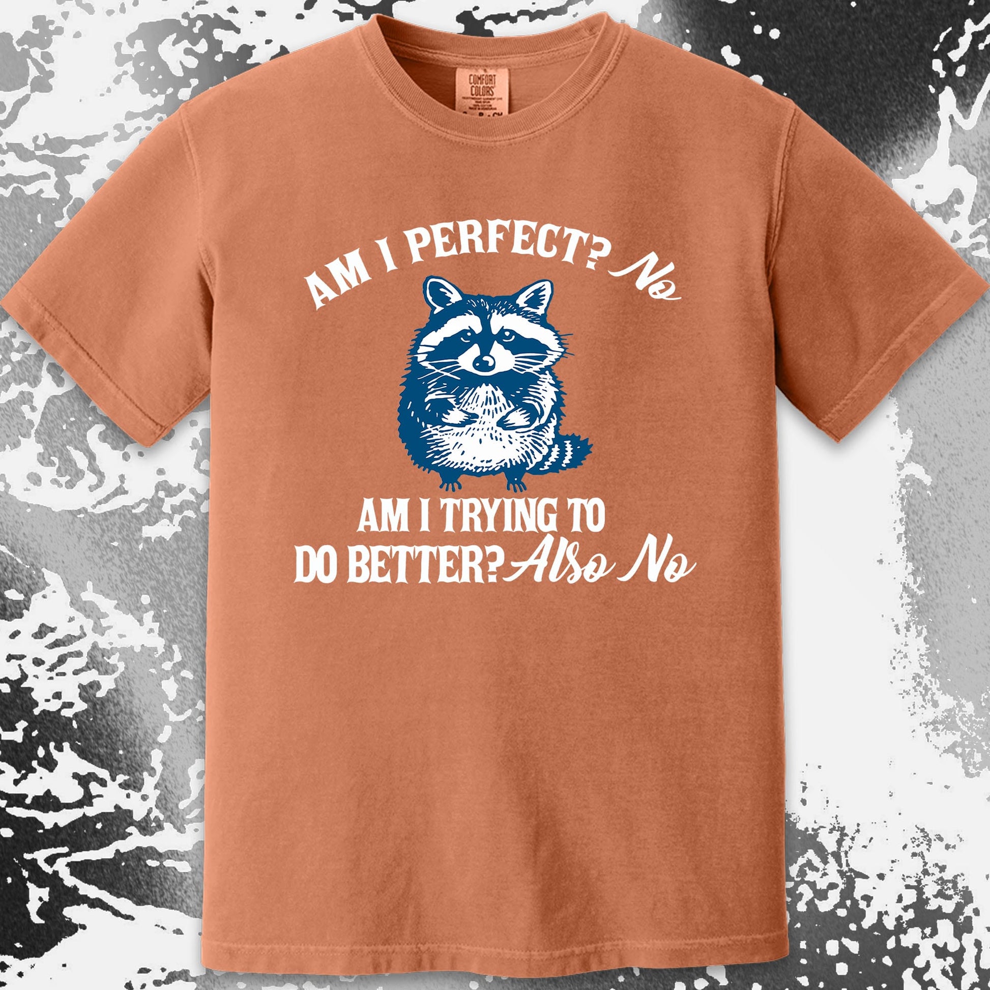Am I Perfect? No Raccoon T-Shirt – Honest Self Awareness, funny meme tee gift (view 14)
