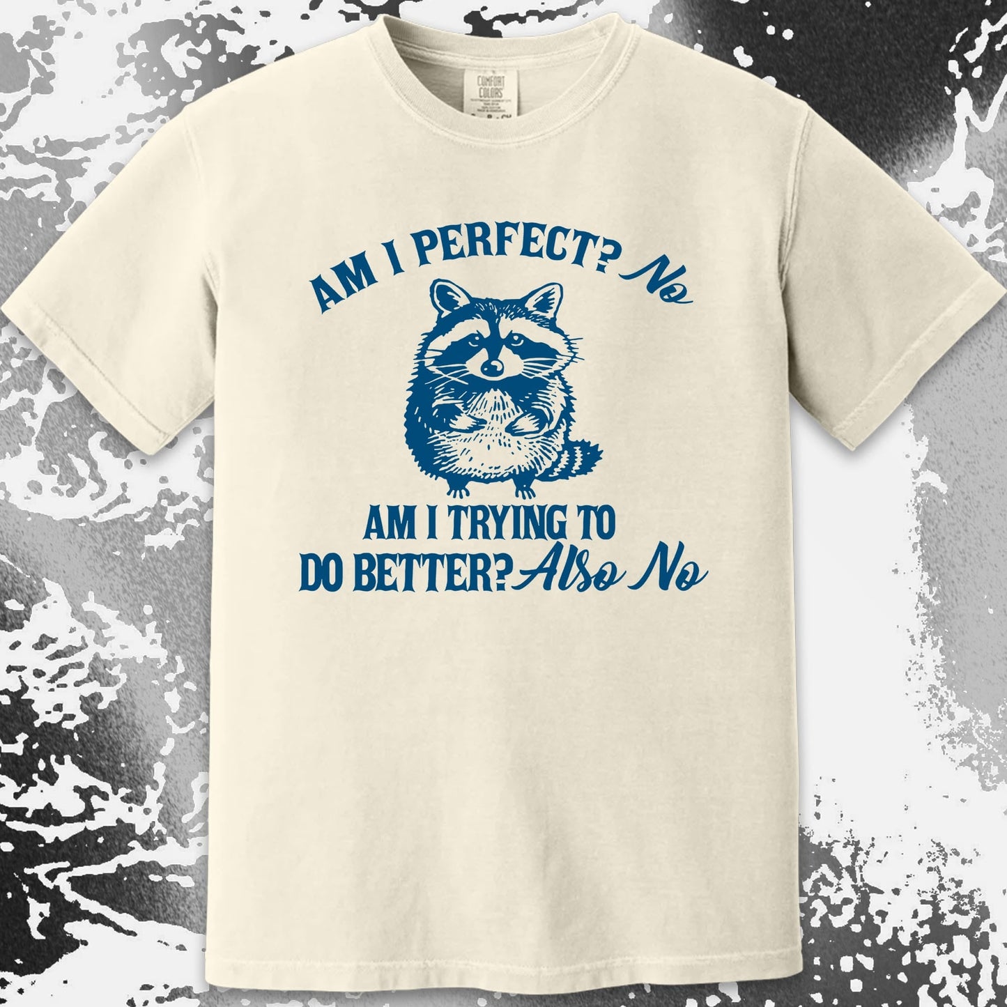 Am I Perfect? No Raccoon T-Shirt – Honest Self Awareness, funny meme tee gift (view 15)
