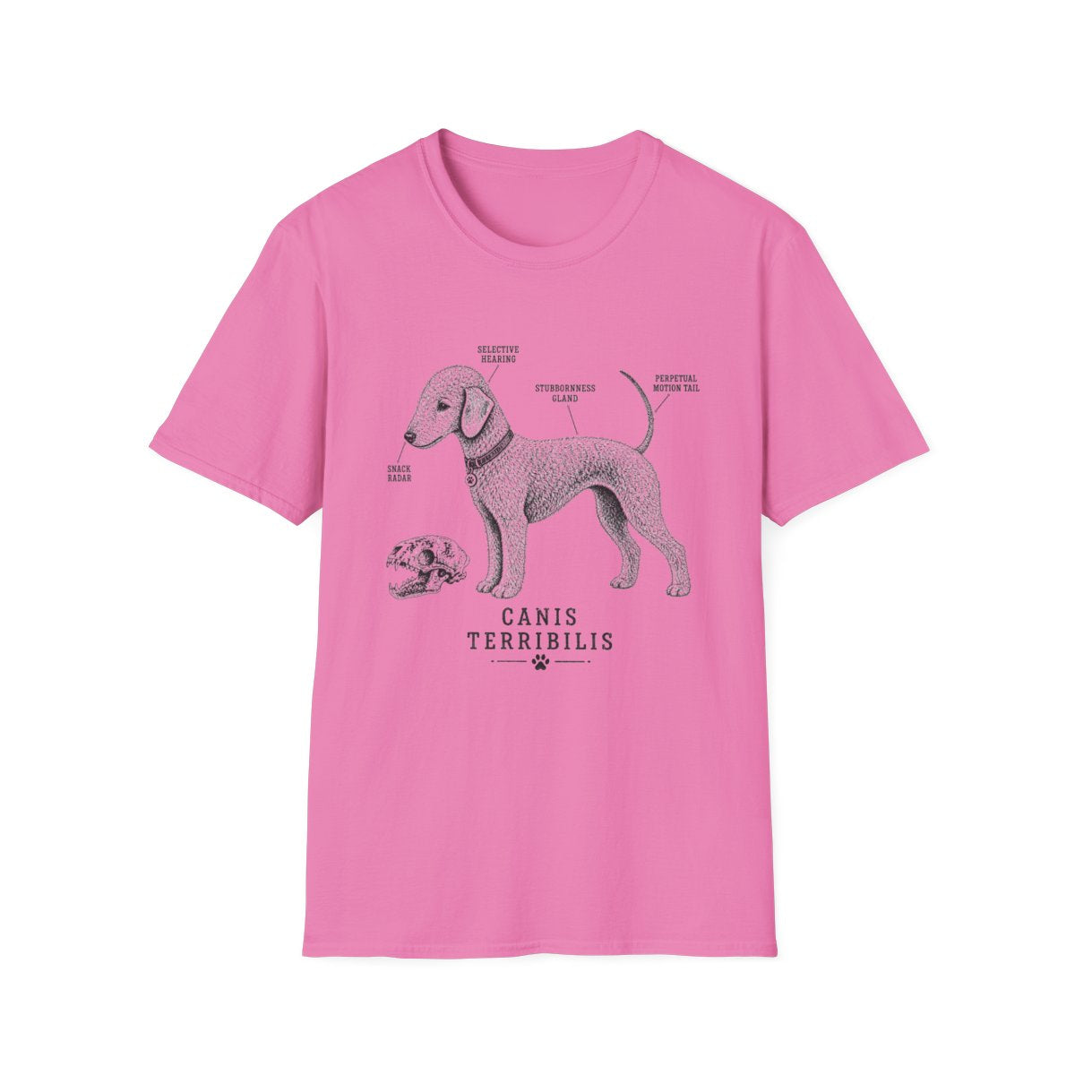 Anatomy Of A Bedlington Terrier Tee