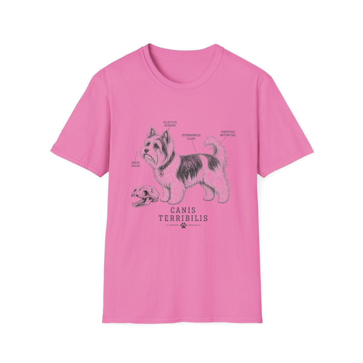 Anatomy Of A Biewer Terrier Tee