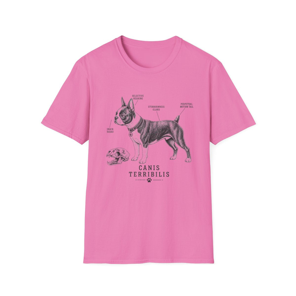 Anatomy Of A Boston Terrier Tee