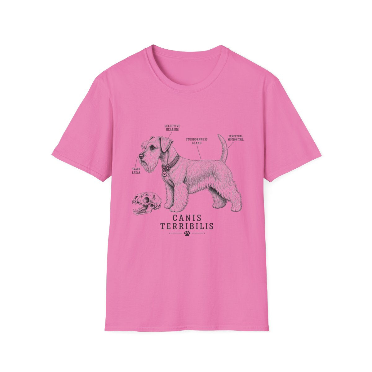 Anatomy Of A Cesky Terrier Tee