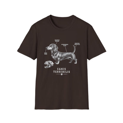 Anatomy Of A Dachshund Tee