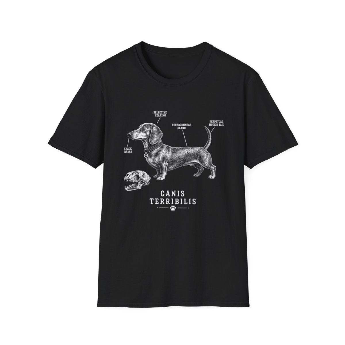 Anatomy Of A Dachshund Tee