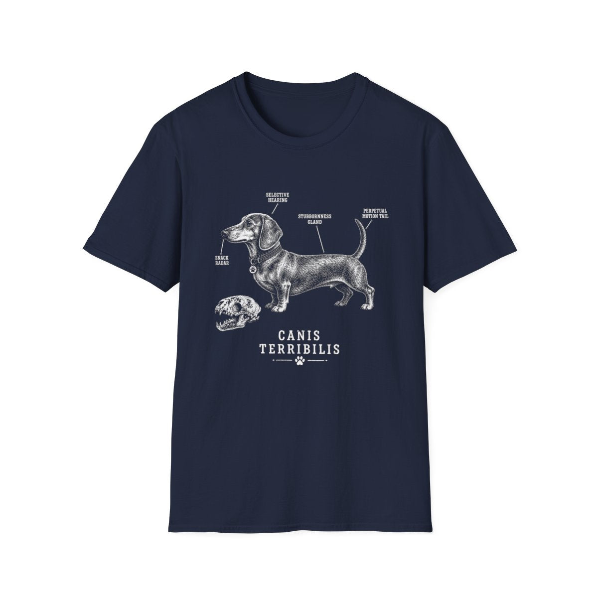Anatomy Of A Dachshund Tee