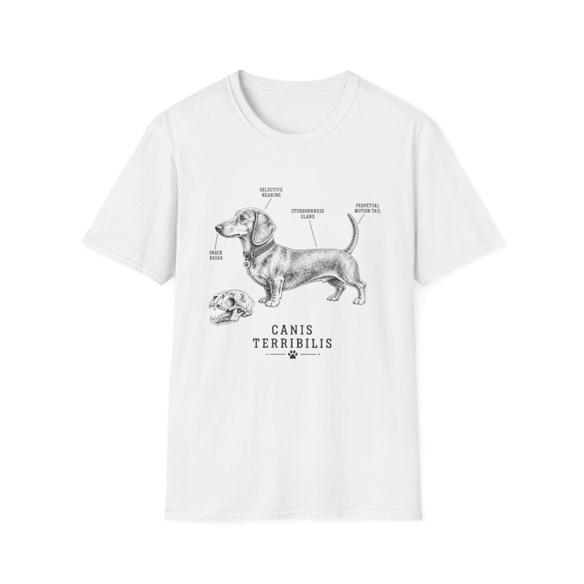 Anatomy Of A Dachshund Tee