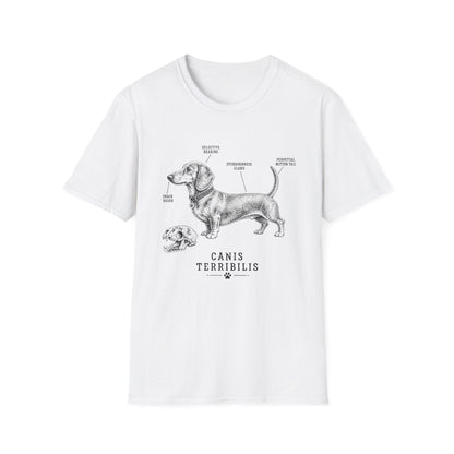 Anatomy Of A Dachshund Tee