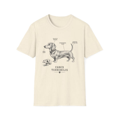 Anatomy Of A Dachshund Tee