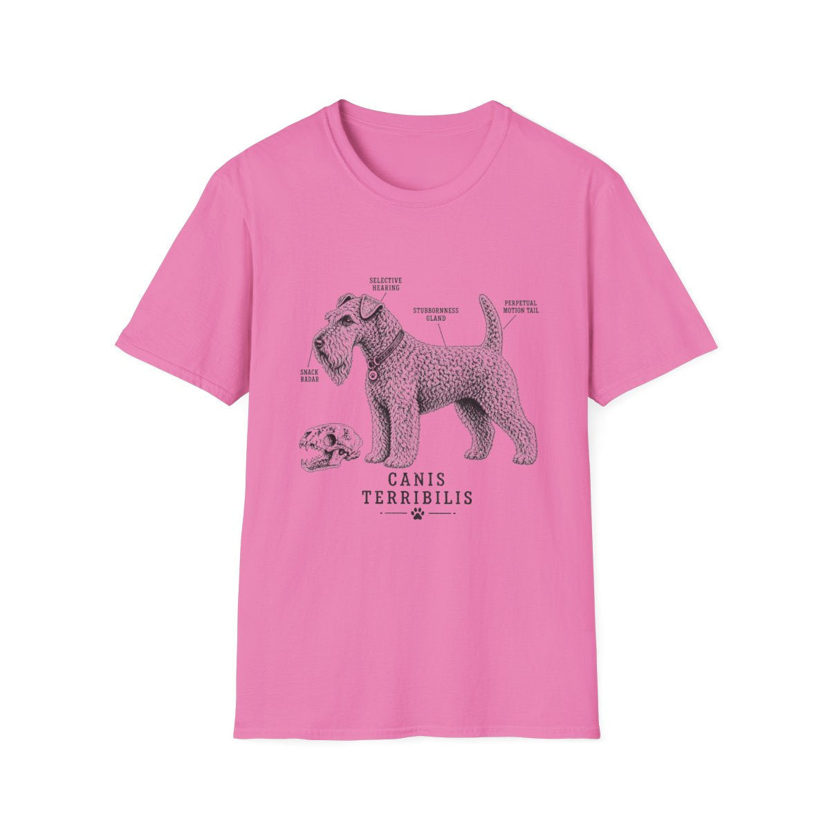 Anatomy Of A Kerry Blue Terrier Tee
