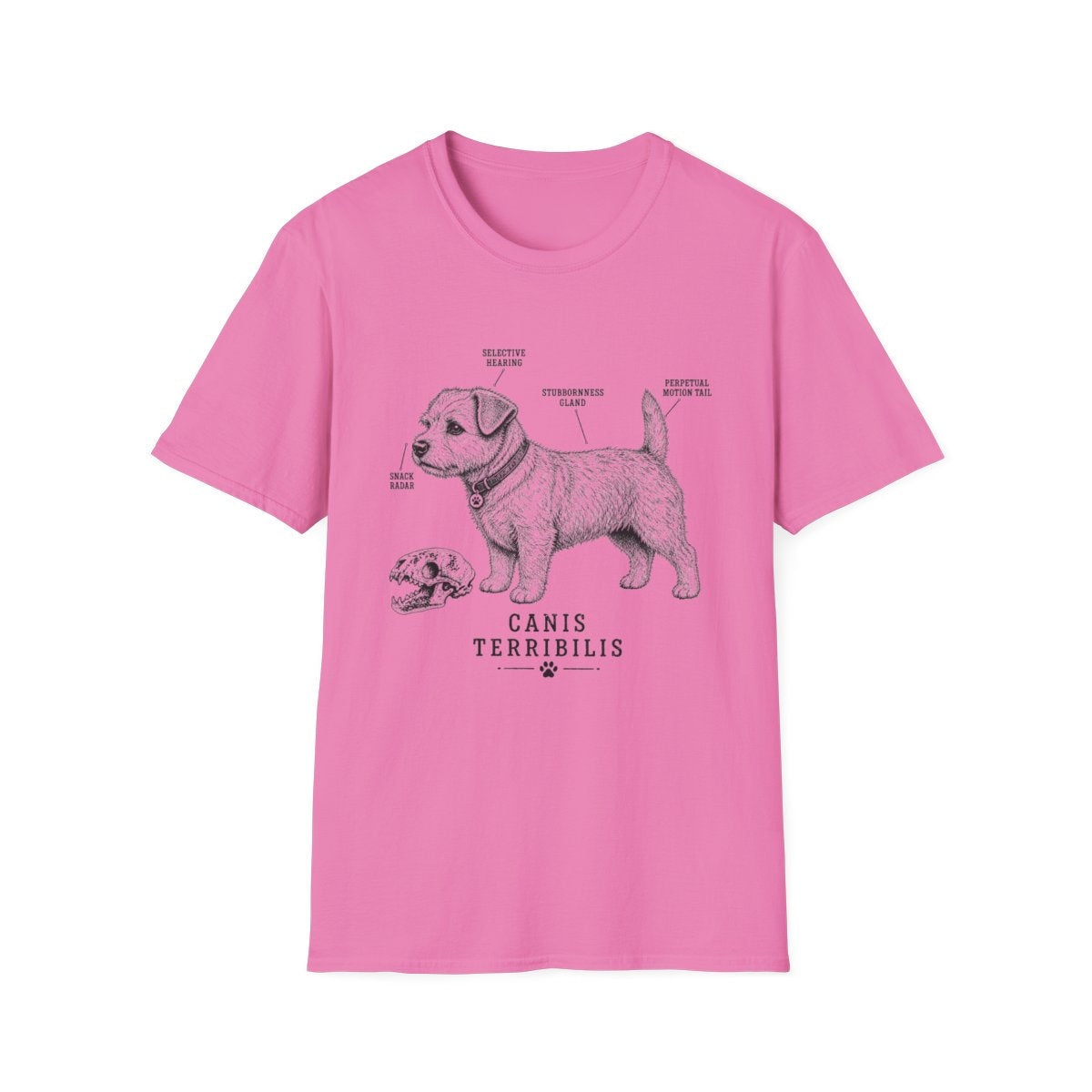 Anatomy Of A Norfolk Terrier Tee