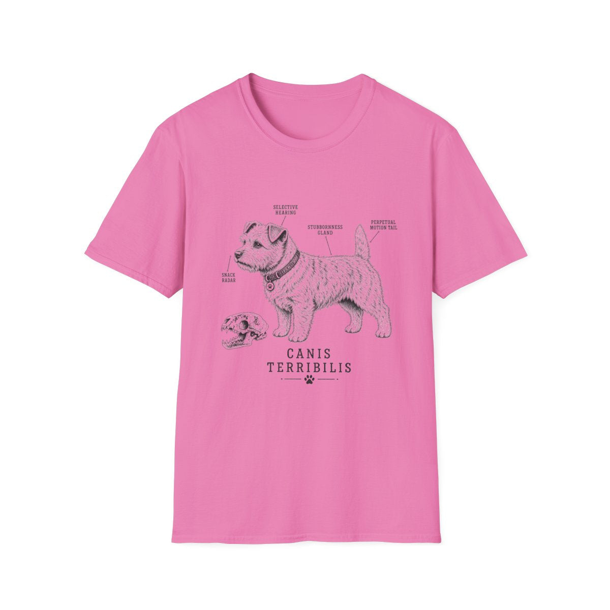 Anatomy Of A Norwich Terrier Tee